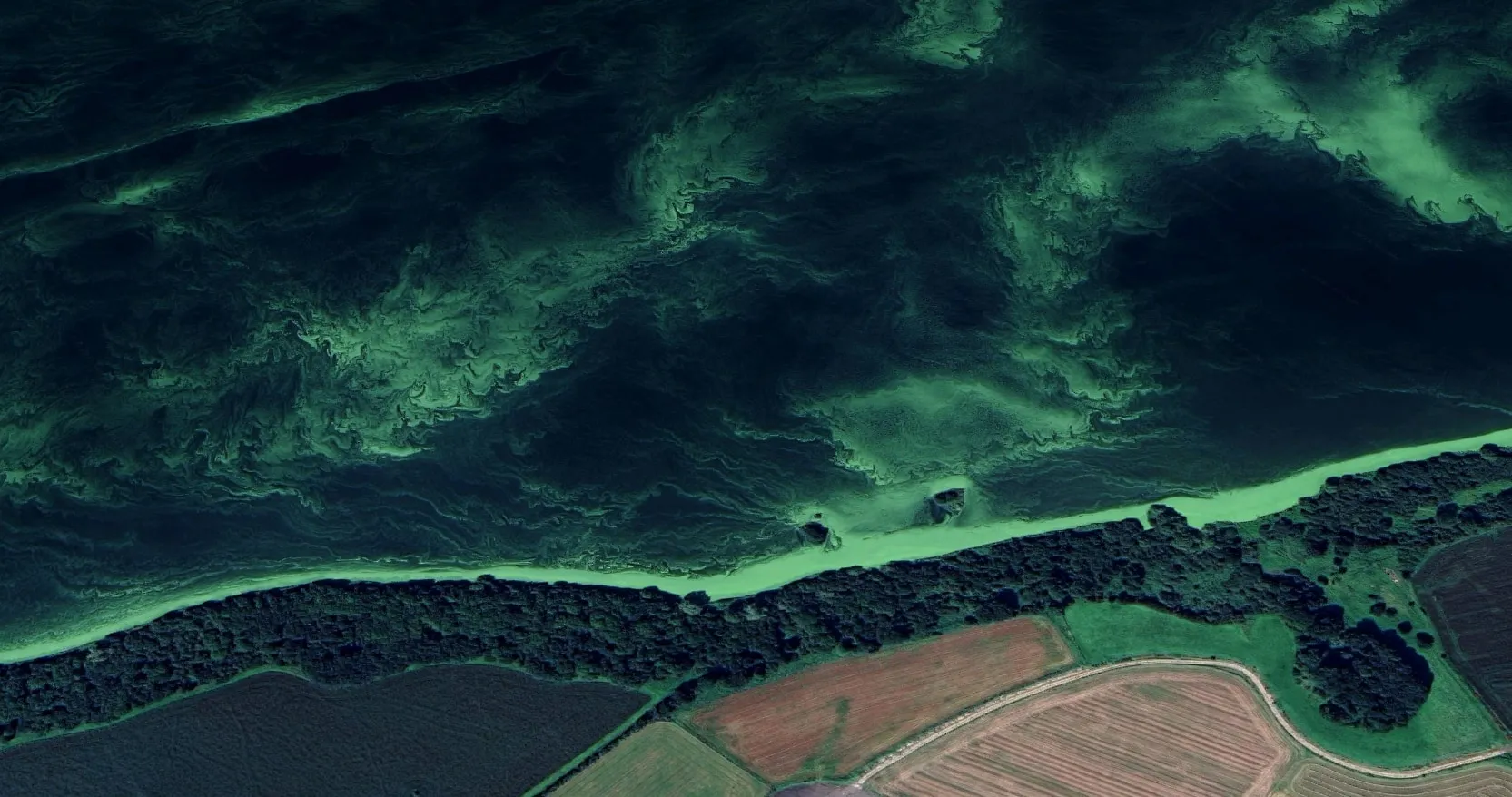 A Google Maps screenshot of Lough Neagh. The water is black with glowing green stuff in it, twisting into unnatural shapes.
